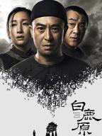 《白鹿原2017》国产电视剧免费全集在线观看01集