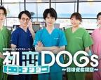 《初恋UNDER DOGs 败犬与初恋1-6》动漫免费观看-第01集-高清完整版