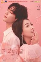 《下一站是幸福》电视剧全集高清完整版免费在线观看