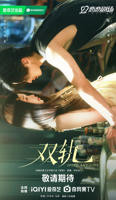 《双轨》电视剧在线观看全集免费高清完整版