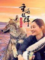 《重返狼群》10周年纪念版HD中字免费观看全集
